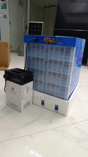 320 Egg Incubator AC/DC