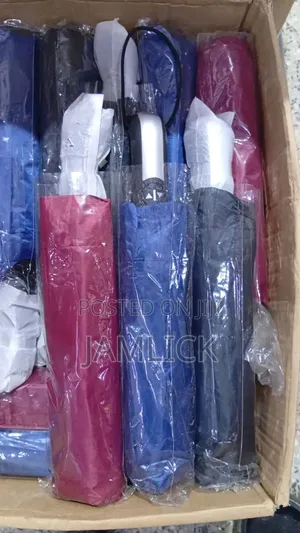 Silver Top Umbrella