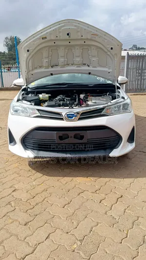 Toyota Axio 2019 White