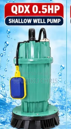 Premier QDX 0.5HP Submersible Water Pump