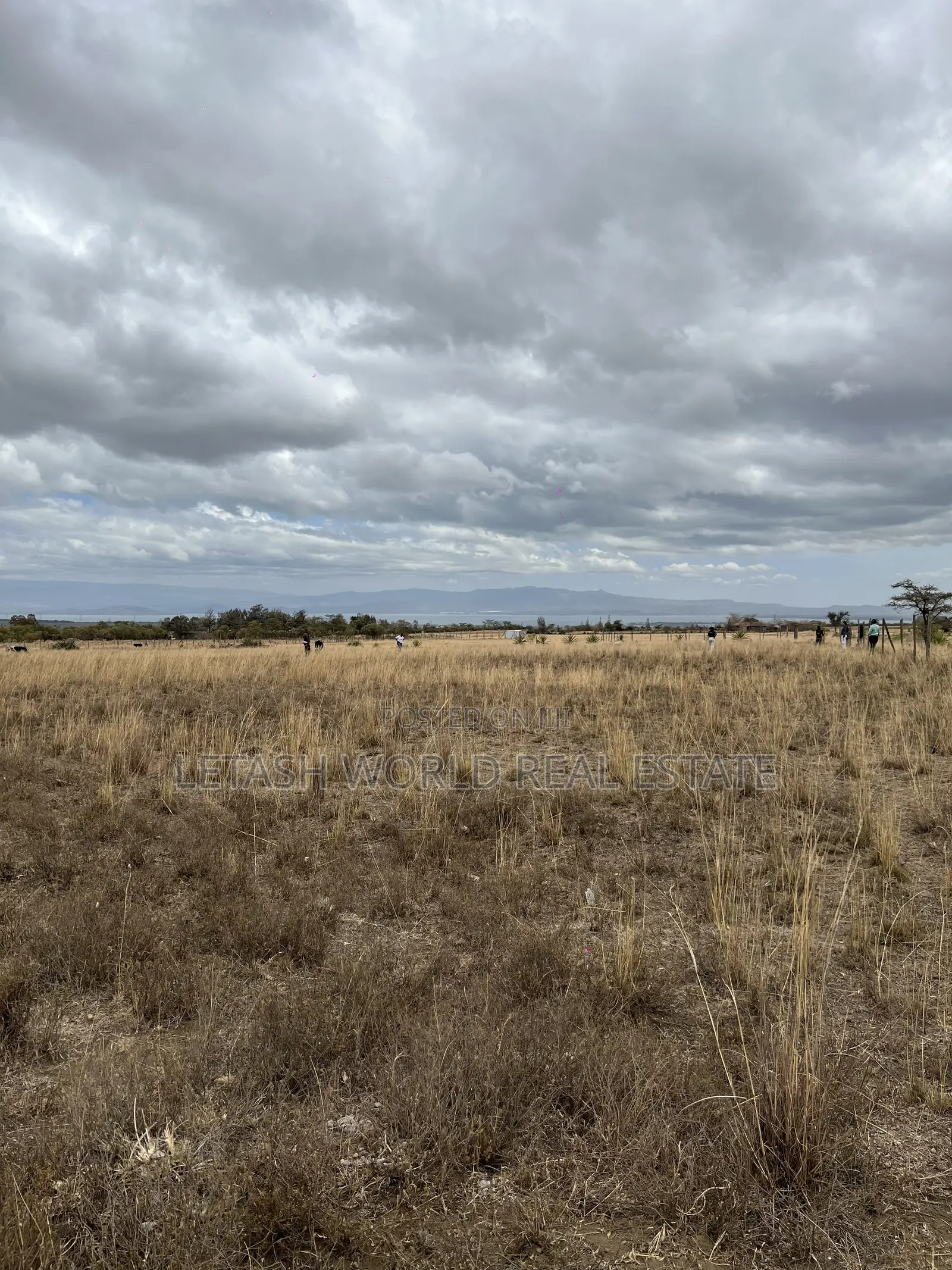 50 by 100 Plots for 750,000 in Cash Along Naivasha Maimahiu Highway