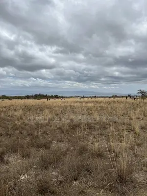 50 by 100 Plots for 750,000 in Cash Along Naivasha Maimahiu Highway