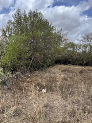 50 by 100 Plots for 750,000 in Cash Along Naivasha Maimahiu Highway