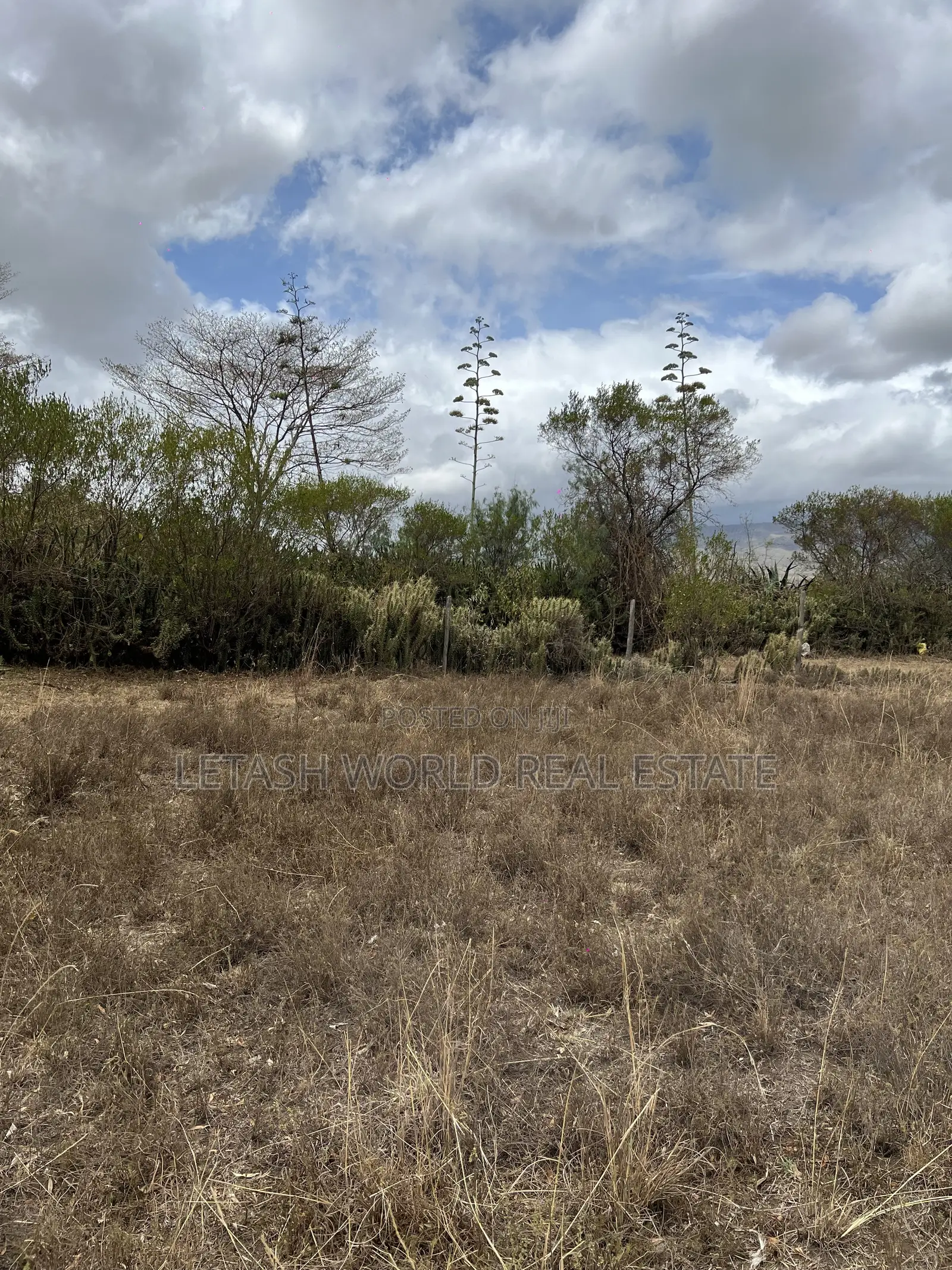 50 by 100 Plots for 750,000 in Cash Along Naivasha Maimahiu Highway