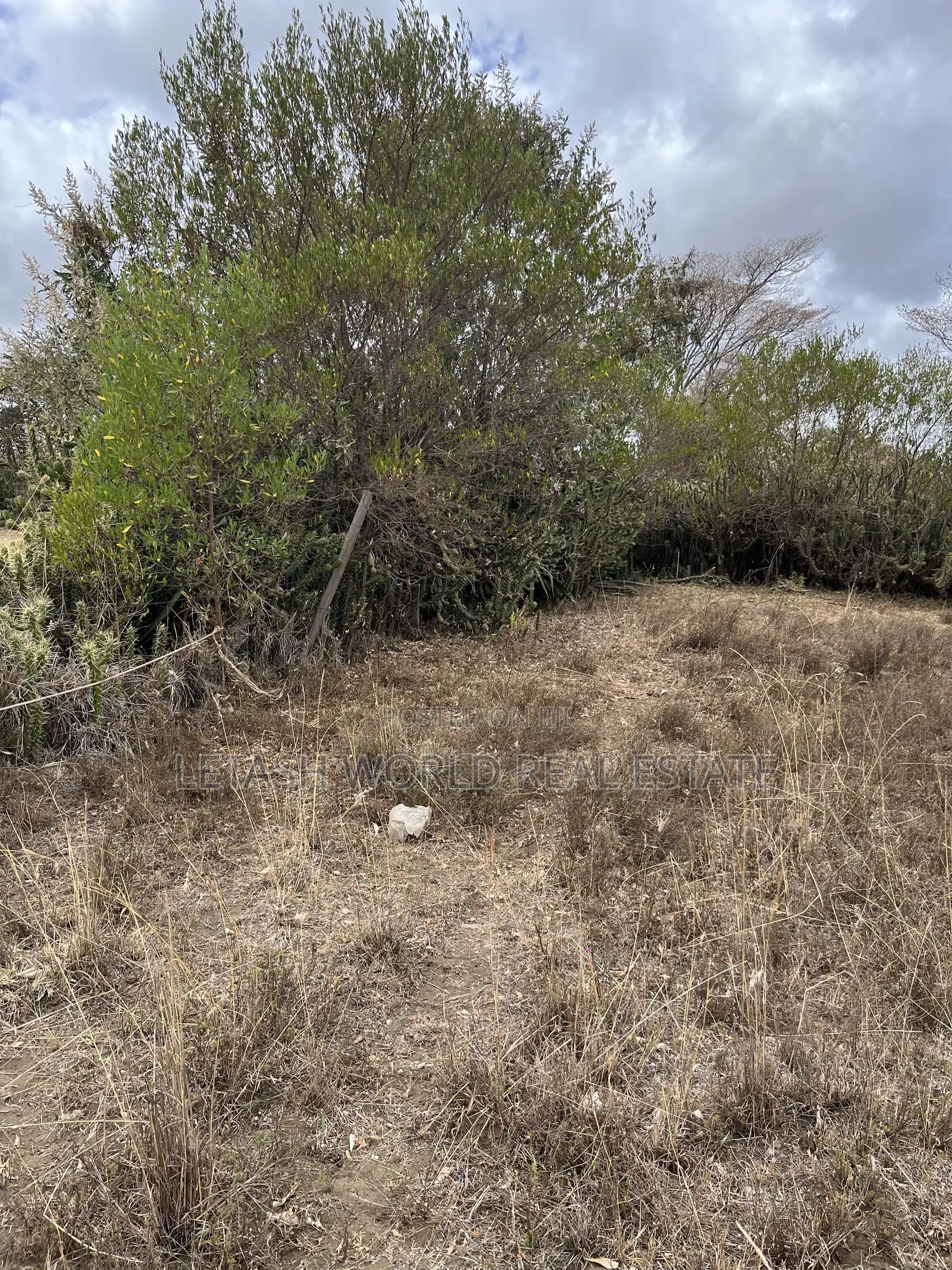 50 by 100 Plots for 750,000 in Cash Along Naivasha Maimahiu Highway