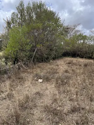 50 by 100 Plots for 750,000 in Cash Along Naivasha Maimahiu Highway