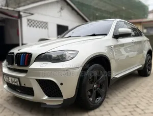 BMW X6 xDrive 30d 2009 Gold