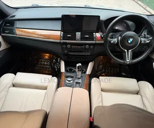 BMW X6 xDrive 30d 2009 Gold
