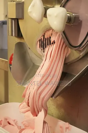 Ice Cream Maker Repair and Service