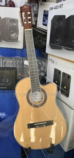 Explorer Classical Guitar