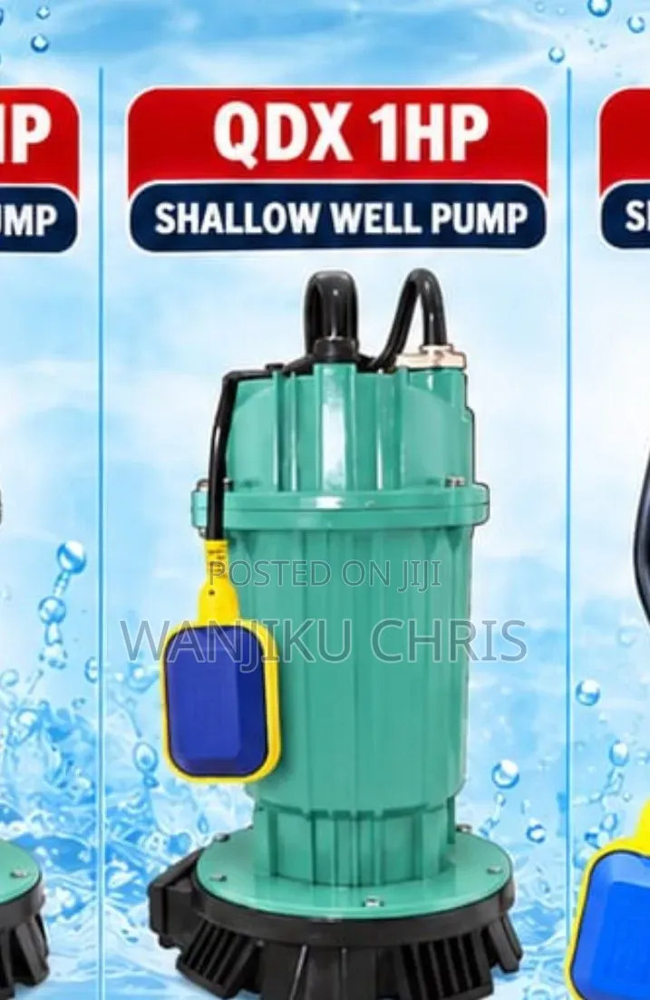 Premier QDX 1HP Submersible Water Pump