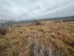 Prime 1/2 Acre Land for Sale – Isinya Greenland ROAD