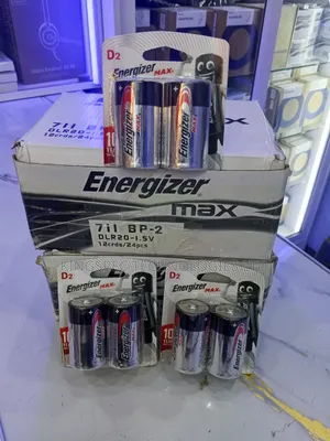 D2 Energizer Batteries