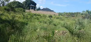 Quarter-Acre Plot for Sale in Mvindeni
