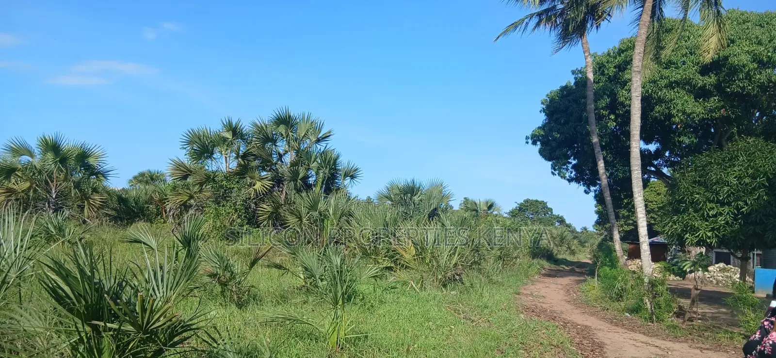 Quarter-Acre Plot for Sale in Mvindeni