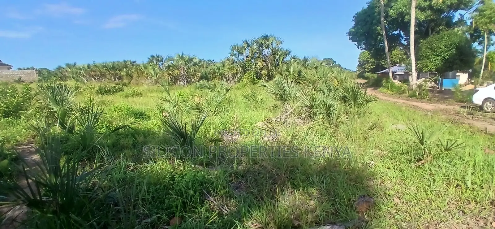 Quarter-Acre Plot for Sale in Mvindeni