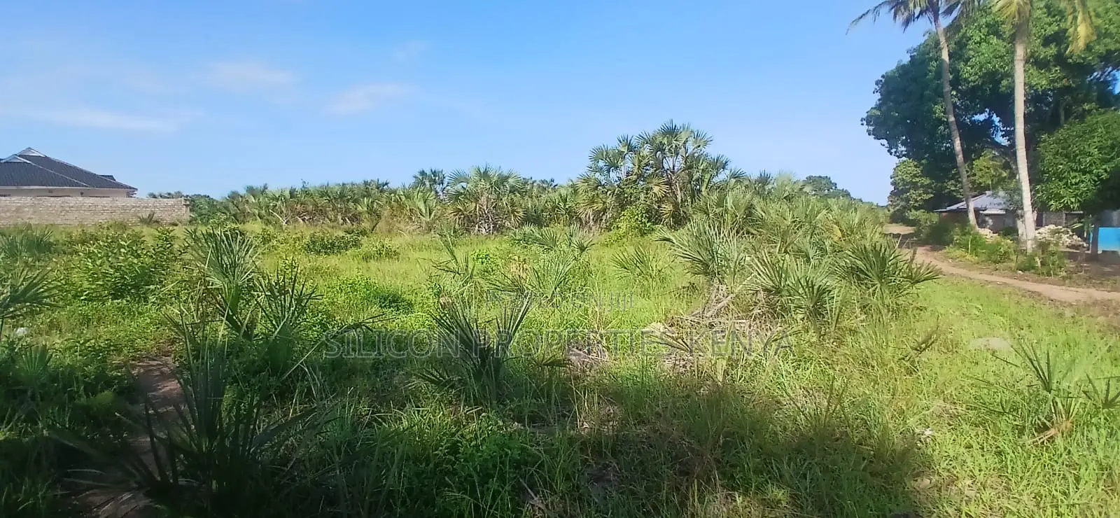 Quarter-Acre Plot for Sale in Mvindeni