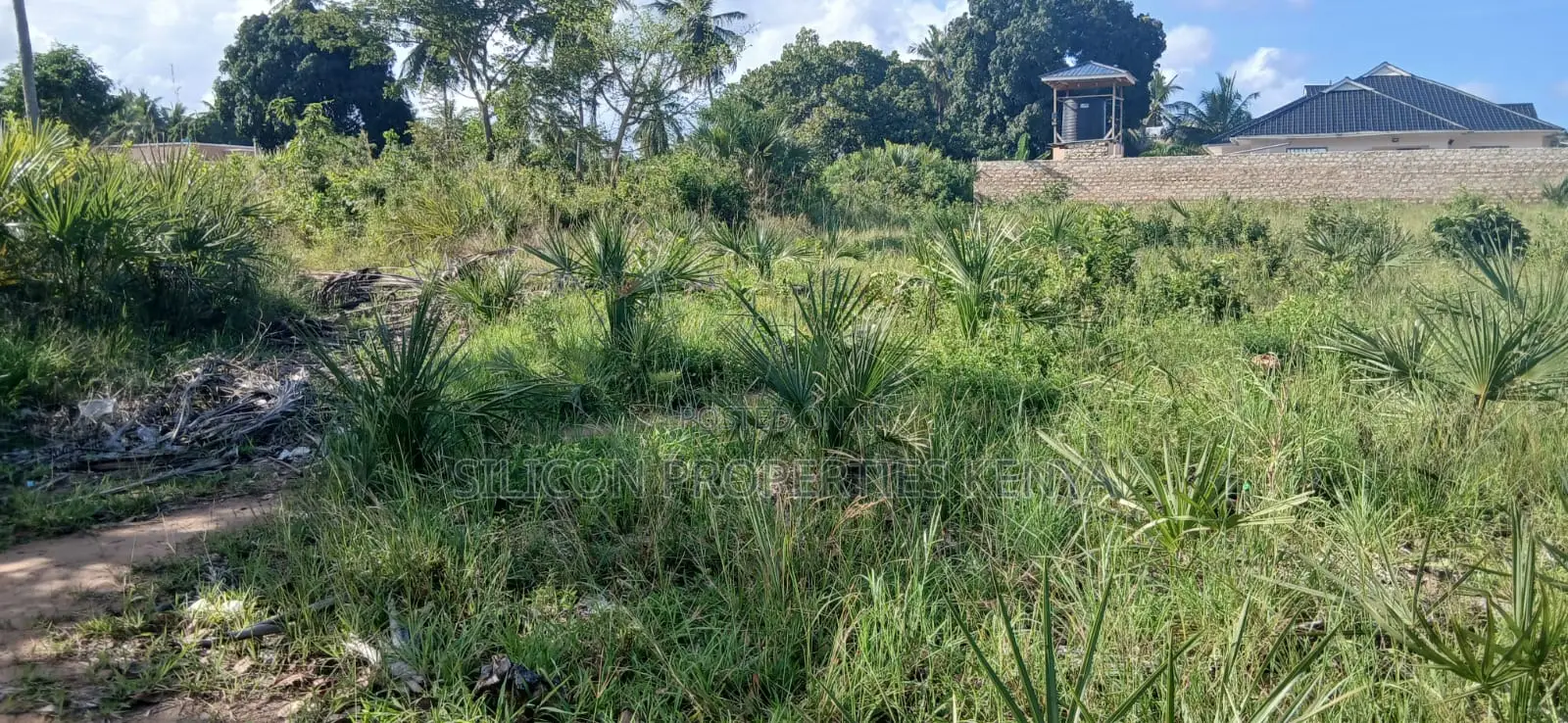 Quarter-Acre Plot for Sale in Mvindeni