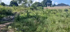 Quarter-Acre Plot for Sale in Mvindeni