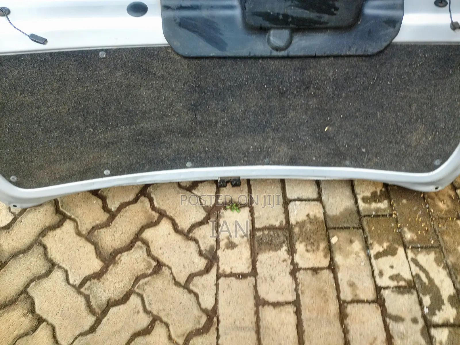 Toyota Succeed Boot Door