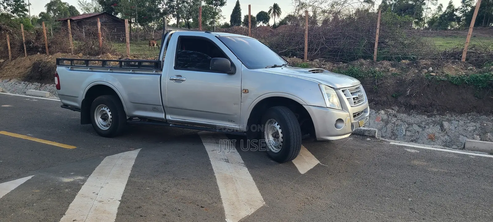 Isuzu D-MAX 2010 Silver