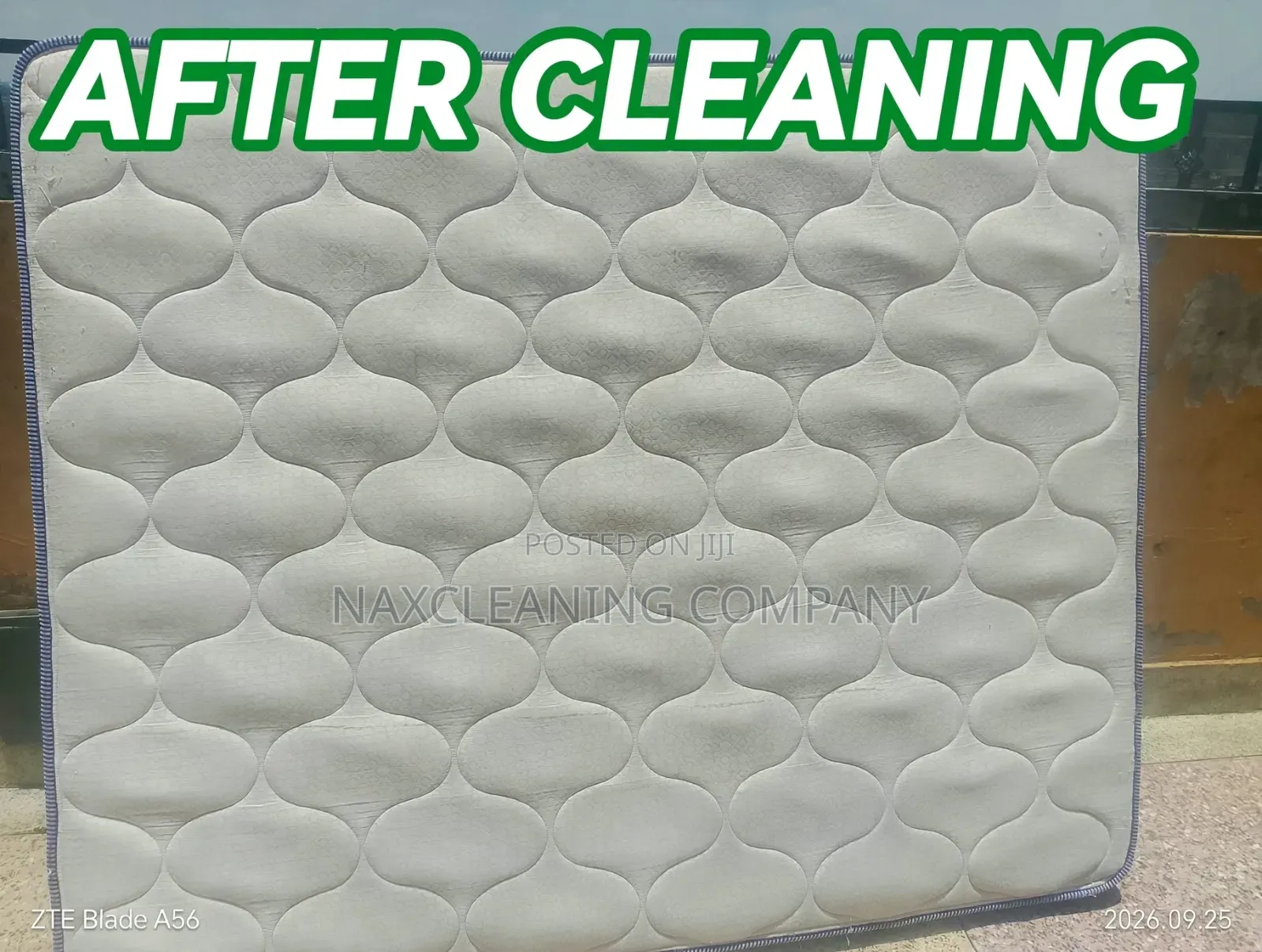 Sofa Seat Cleaning . Carpet Cleaning, Fumigation Services