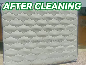 Sofa Seat Cleaning . Carpet Cleaning, Fumigation Services