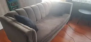 Gray Couch