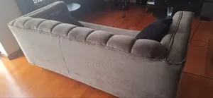 Gray Couch