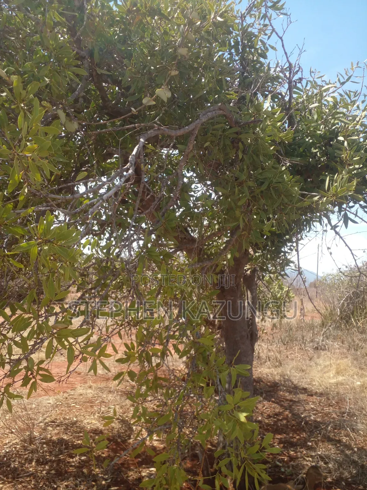 Voi's Best Sitted Area, at Only 1.2 KMS From Mombasa/Nairobi Highway.