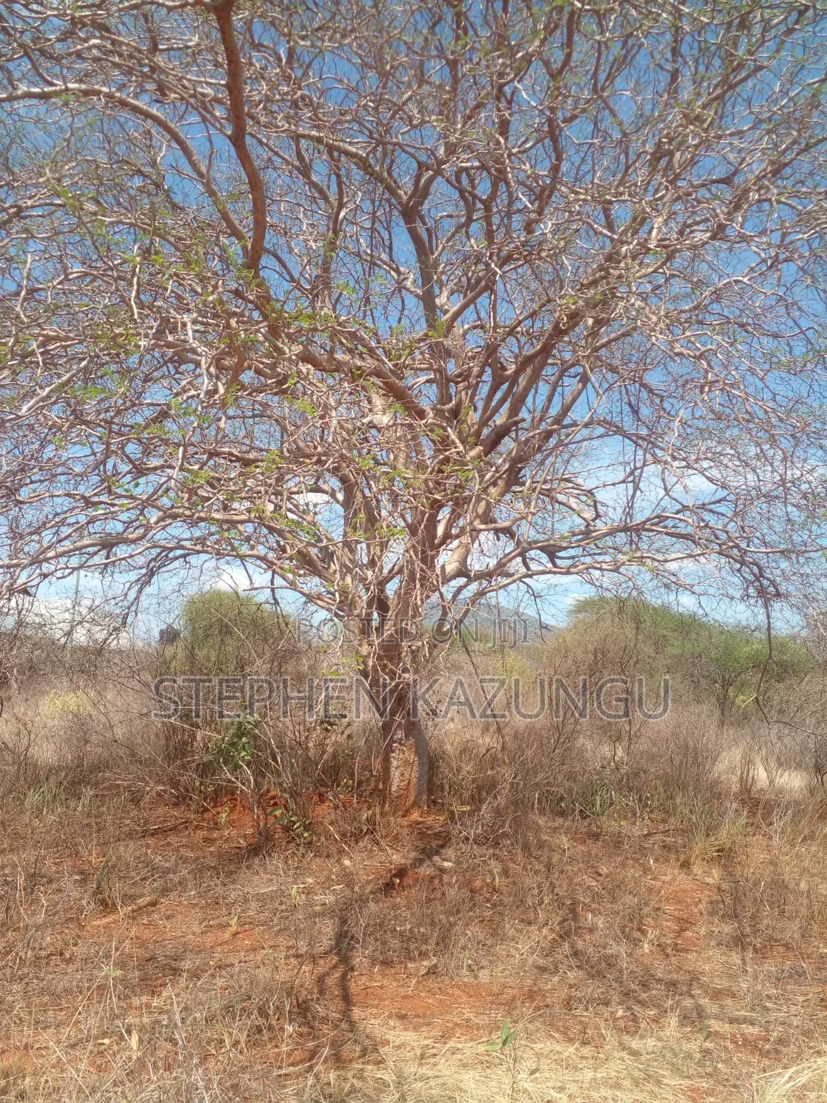 Voi's Best Sitted Area, at Only 1.2 KMS From Mombasa/Nairobi Highway.