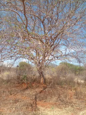 Voi's Best Sitted Area, at Only 1.2 KMS From Mombasa/Nairobi Highway.