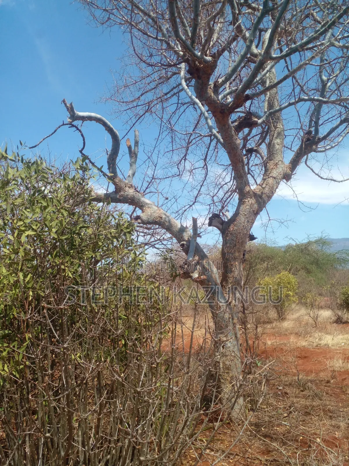 Voi's Best Sitted Area, at Only 1.2 KMS From Mombasa/Nairobi Highway.