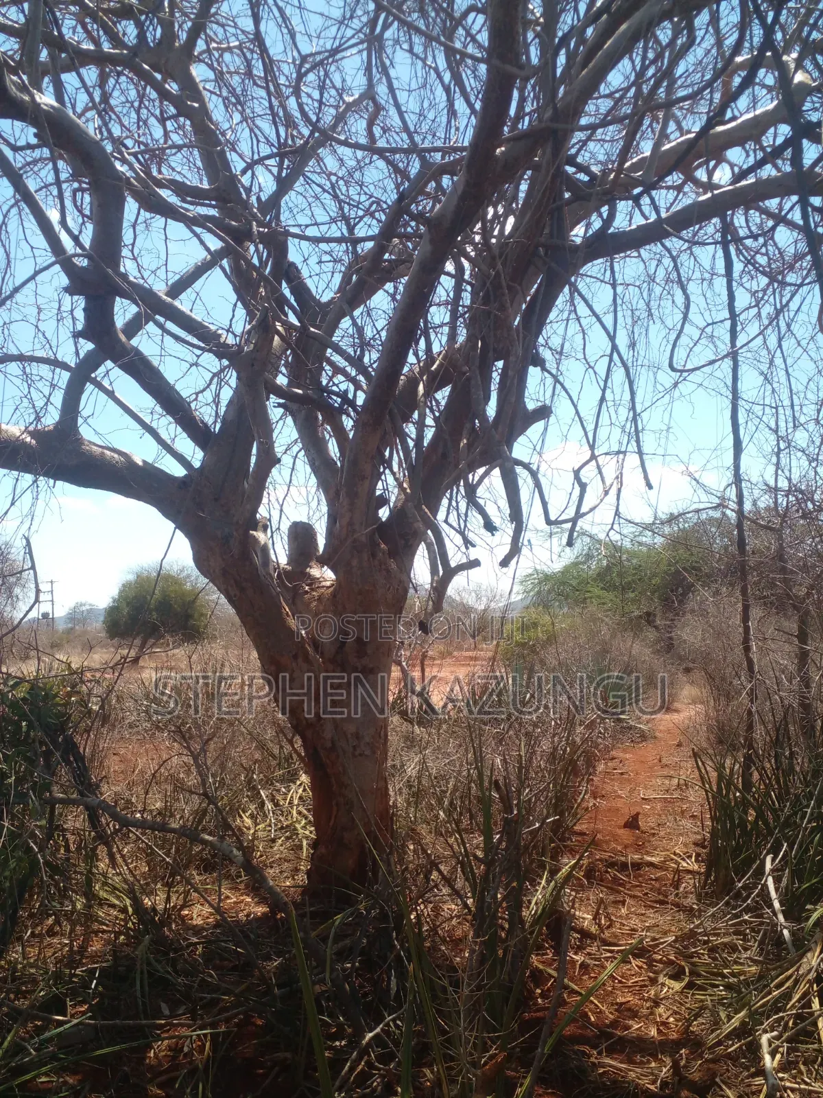 Voi's Best Sitted Area, at Only 1.2 KMS From Mombasa/Nairobi Highway.