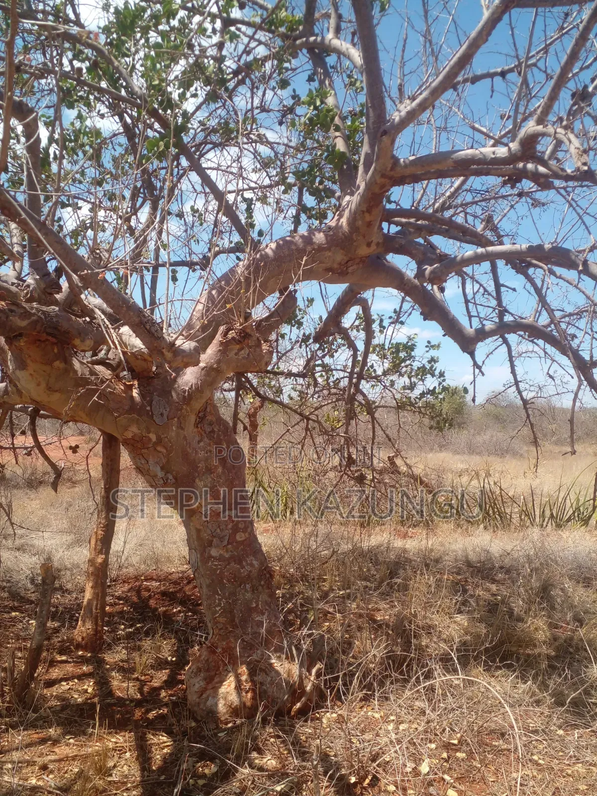 Voi's Best Sitted Area, at Only 1.2 KMS From Mombasa/Nairobi Highway.