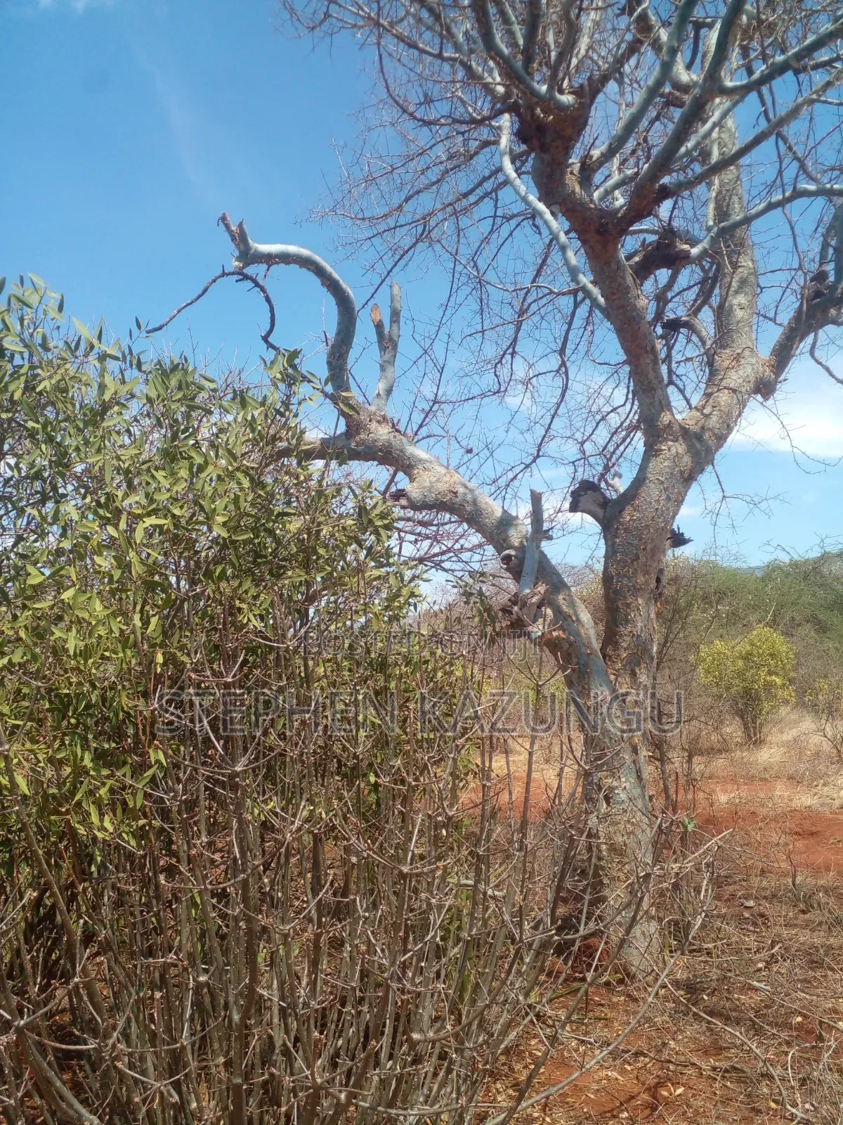 Voi's Best Sitted Area, at Only 1.2 KMS From Mombasa/Nairobi Highway.