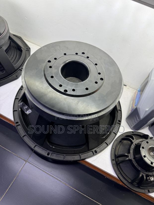 Black Spider 217A Double Magnet 21 Inch Speaker