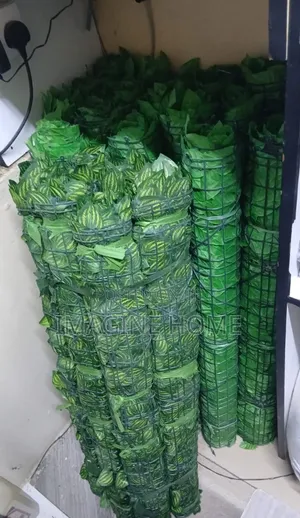 Watermelon and Dark Green Fences