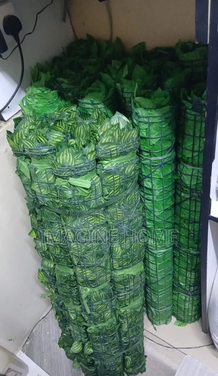 Watermelon and Dark Green Fences