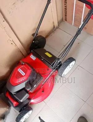 Premier Commercial Lawn Mower Machine/Electric Lawn Mower