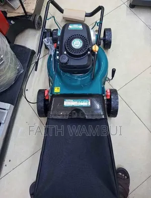 Portable Gasoline Total Lawn Mower Machine 4hp