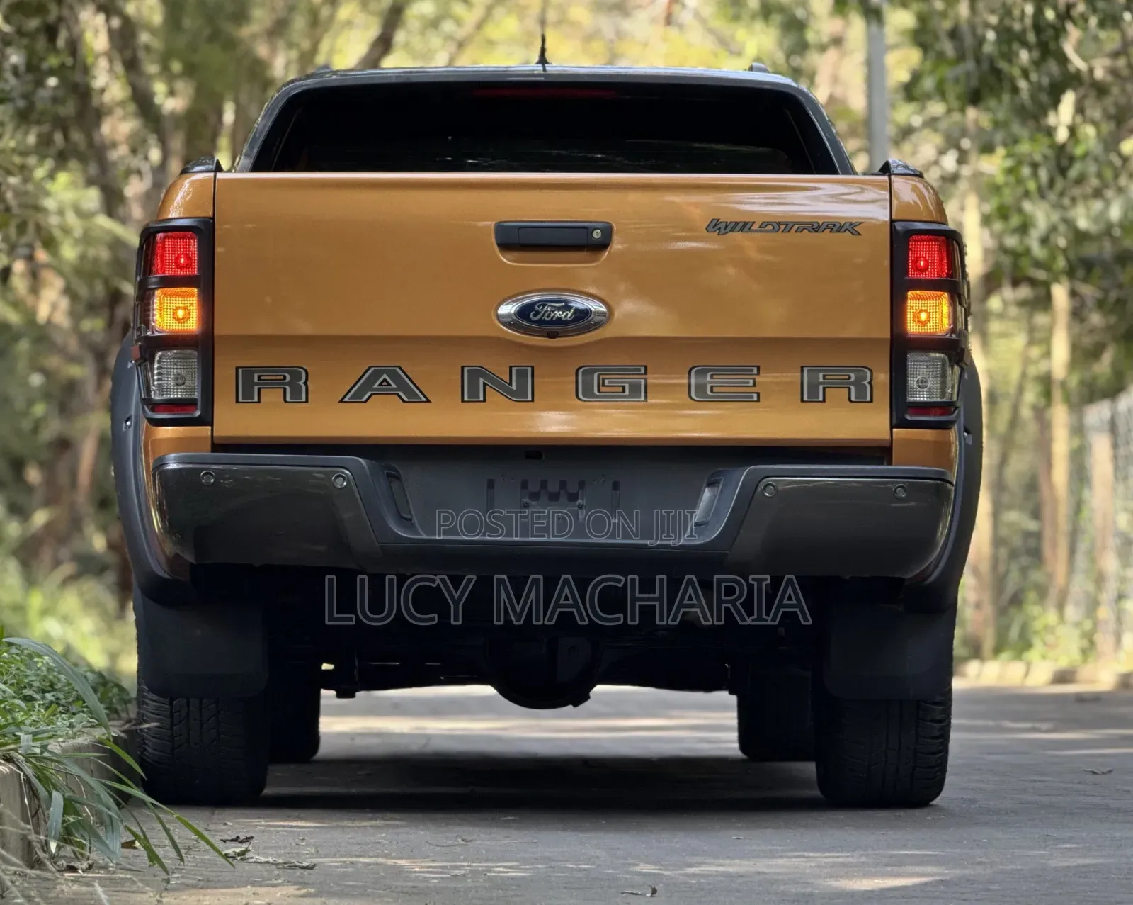 Ford Ranger Wildtrak 2019 Orange