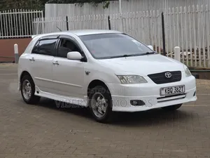 Toyota Allex 2004 White