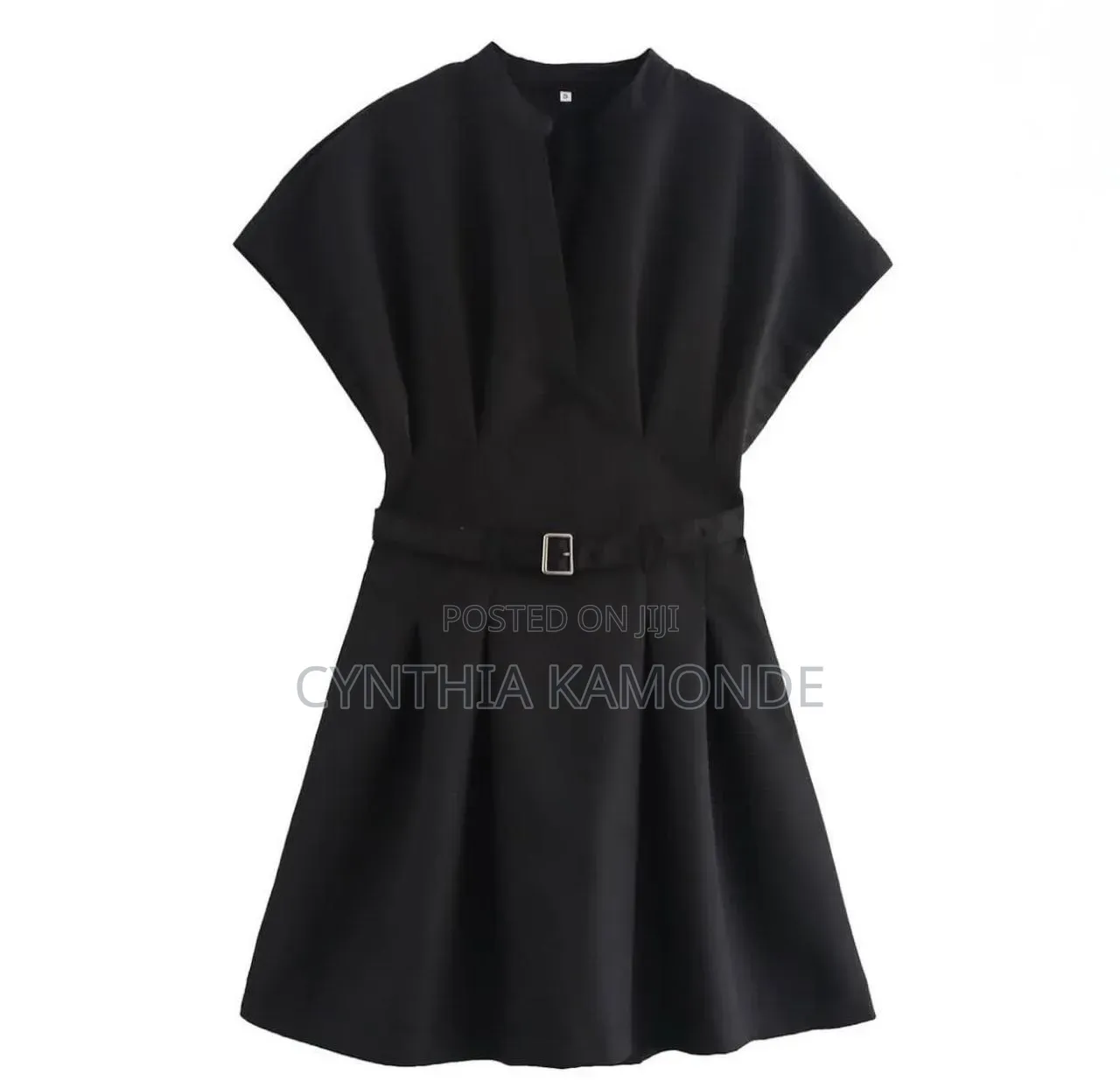 Short Ladies Dress