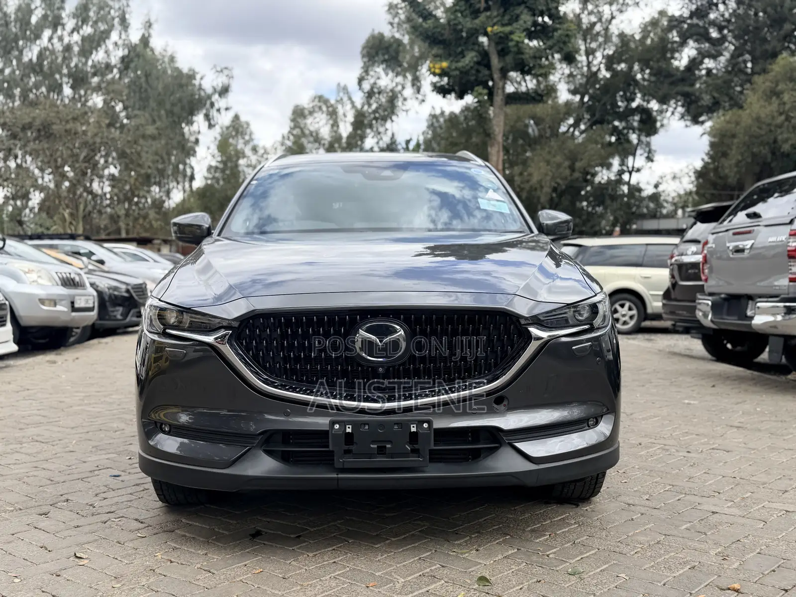 Mazda CX-8 2.2 AWD (6 seater) 2019 Gray