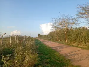 Land for Sale in Lukenya, Athi River Short Distance From Mombasa Road.