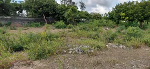 This Plot Is 2 1/2 Acre Near Turtle Bay Watamu Villa Mapenzi Road Ask