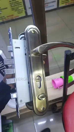 Antique Moment Steel Door Lock
