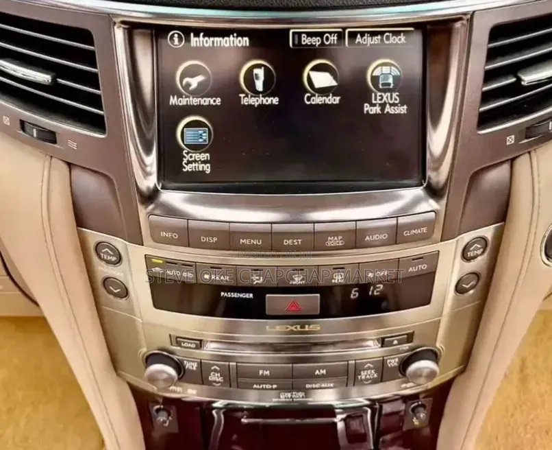 Lexus LX 570 2010 Matt Black