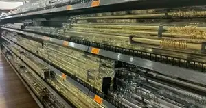 Heavy Duty Curtain Poles Extendable